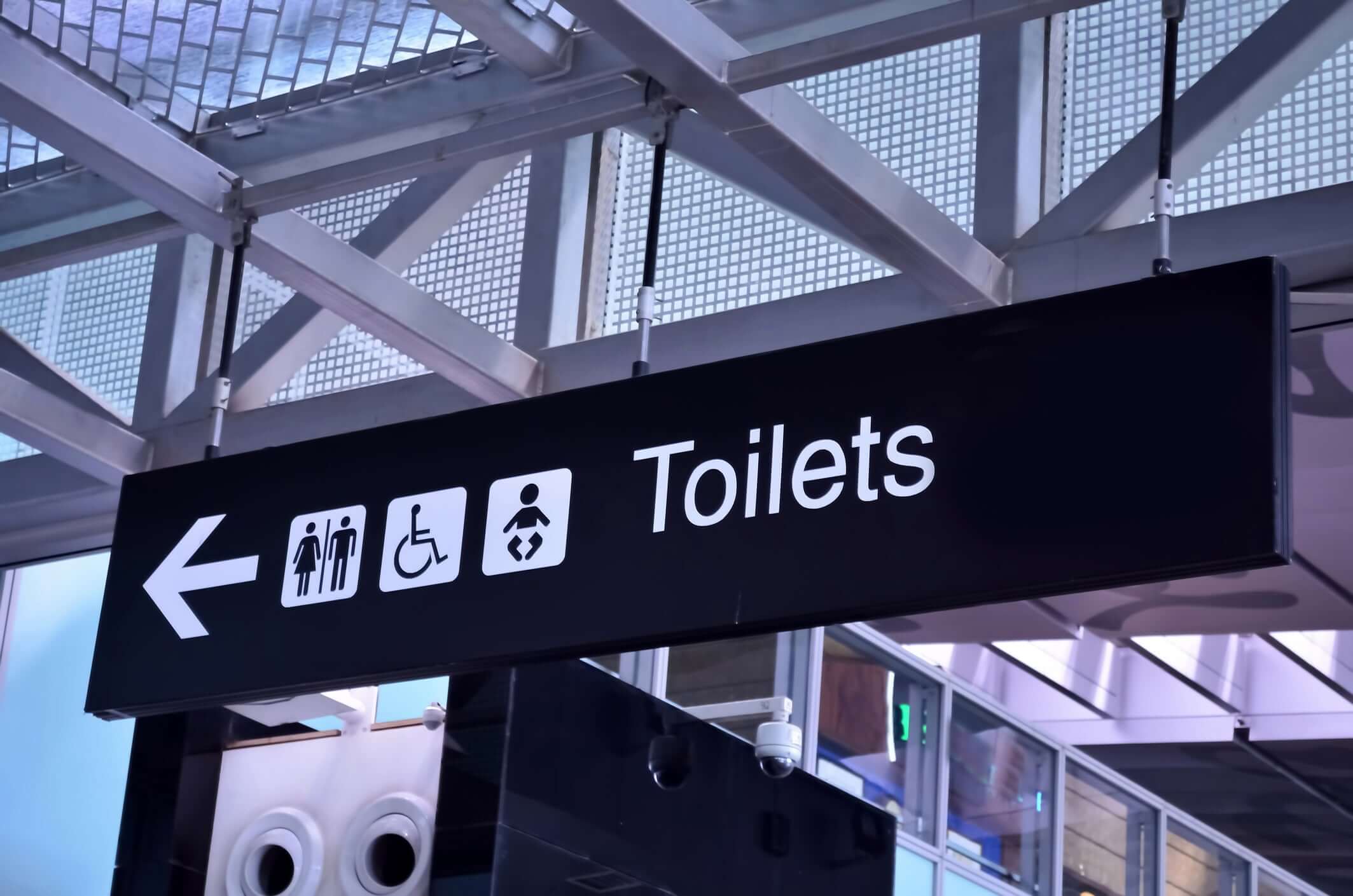 Crazy Interesting Toilet Facts丨LooLoo